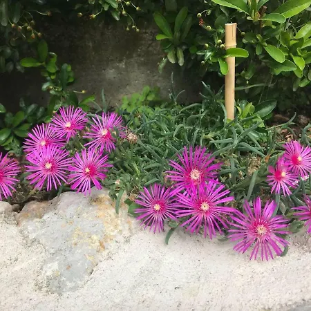 Villa Di Charme Tra Le Montagne D'abruzzo Bominaco